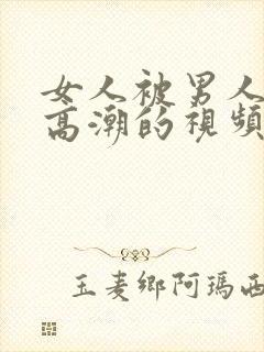 女人被男人操到高潮的视频