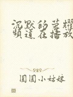 沉默的荣耀哪个频道在播放啊