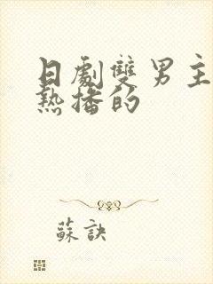 日剧双男主最近热播的