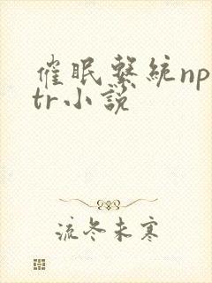 催眠系统npntr小说