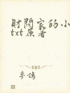 财阀家的小儿子txt原著