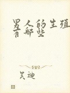 男人的生殖器官有哪些封面