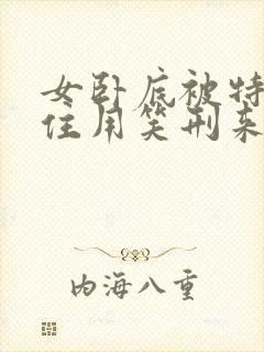 女卧底被特工抓住用笑刑来审问视频