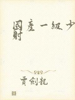 国产一级少妇内射