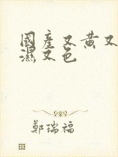 国产又黄又猛又湿又色