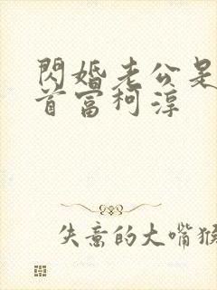 闪婚老公是千亿首富柯淳封面