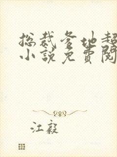 总裁爹地超给力小说免费阅读全文