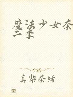 魔法少女奈叶第二季