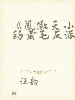 《凤傲天小说里的黄毛反派也想幸福》