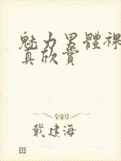 魅力男体裸体写真欣赏