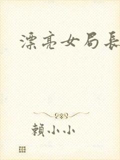 漂亮女局长封面