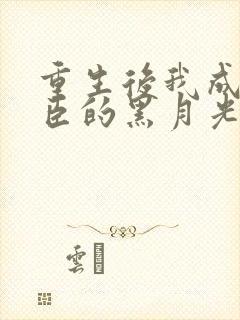 重生后我成了权臣的黑月光