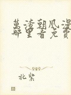 万渣朝凰漫画在哪里看免费封面