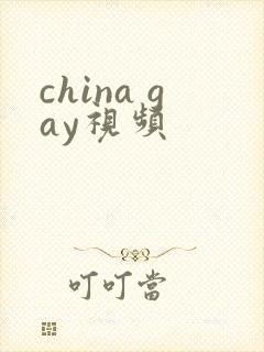 china gay视频