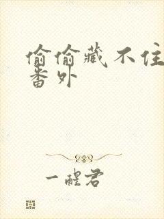 偷偷藏不住新娘番外