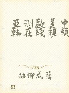 亚洲欧美中文日韩在线视频