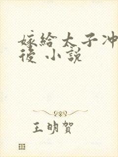 嫁给太子冲喜之后 小说封面