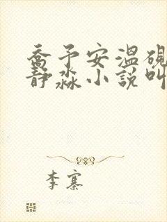 乔予安温砚深沈静淼小说叫什么名字