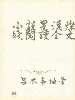 小说星汉灿烂在线阅读全文