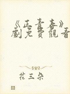 《正青春》电视剧免费观看全集完整封面