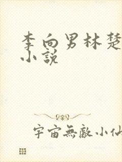 李向男林楚乔的小说