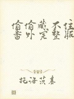 偷偷藏不住新婚番外完整版封面