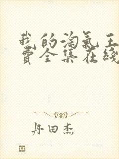 我的淘气王子免费全集在线观看封面