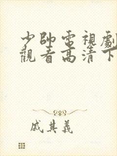 少帅电视剧免费观看高清下载