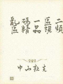 乱码一区二区三区精品视频