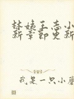 林姨王志小说最新章节更新免费阅读