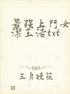 最强上门女婿李洁王浩txt封面