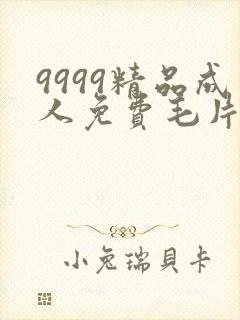 9999精品成人免费毛片在线看