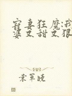 宠妻狂魔:我老婆又甜又狠