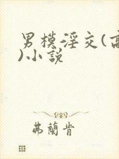 男模淫交(高h)小说