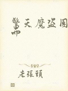 惊天魔盗团2封面