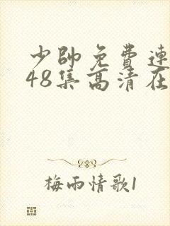 少帅免费连续剧48集高清在线观看