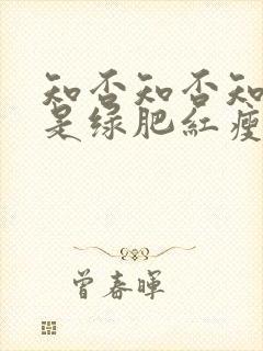 知否知否知否应是绿肥红瘦原著