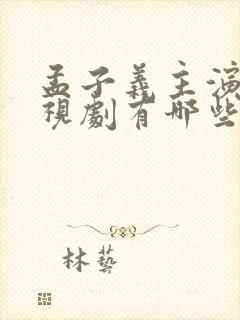 孟子义主演的电视剧有哪些