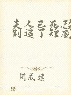 夫人已死,陆总别追了短剧在线观看封面