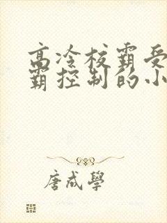 高冷校霸受被学霸控制的小说