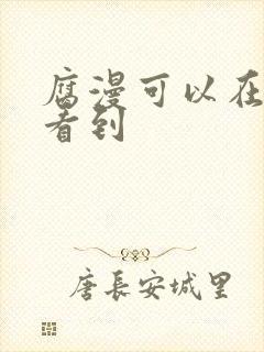 腐漫可以在哪里看到