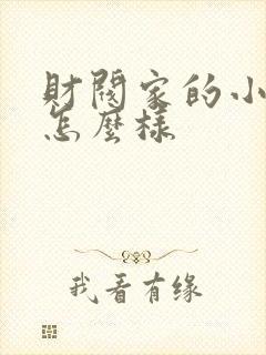 财阀家的小儿子怎么样