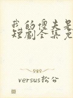 我的傻夫是太子短剧全集免费观看高清封面