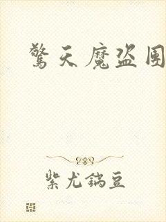 惊天魔盗团高清