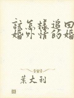 该怎样追回老公婚外情的婚姻