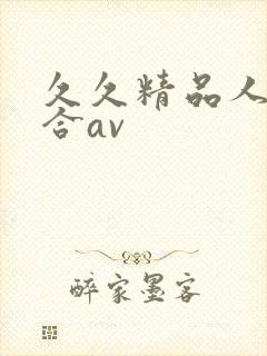 久久精品人妻综合av