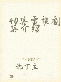 40集电视剧分集介绍
