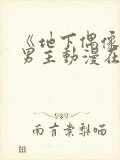 《地下偶像》双男主动漫在线播放