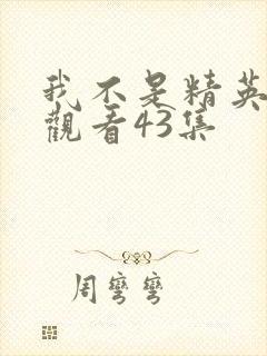 我不是精英免费观看43集