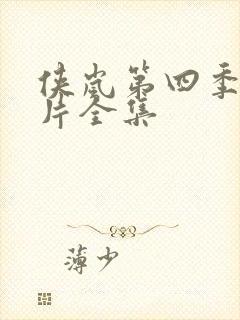 侠岚第四季动画片全集封面